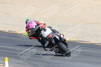 media/Mar-10-2024-SoCal Trackdays (Sun) [[6228d7c590]]/9-Turn 8 Backside (1150am)/